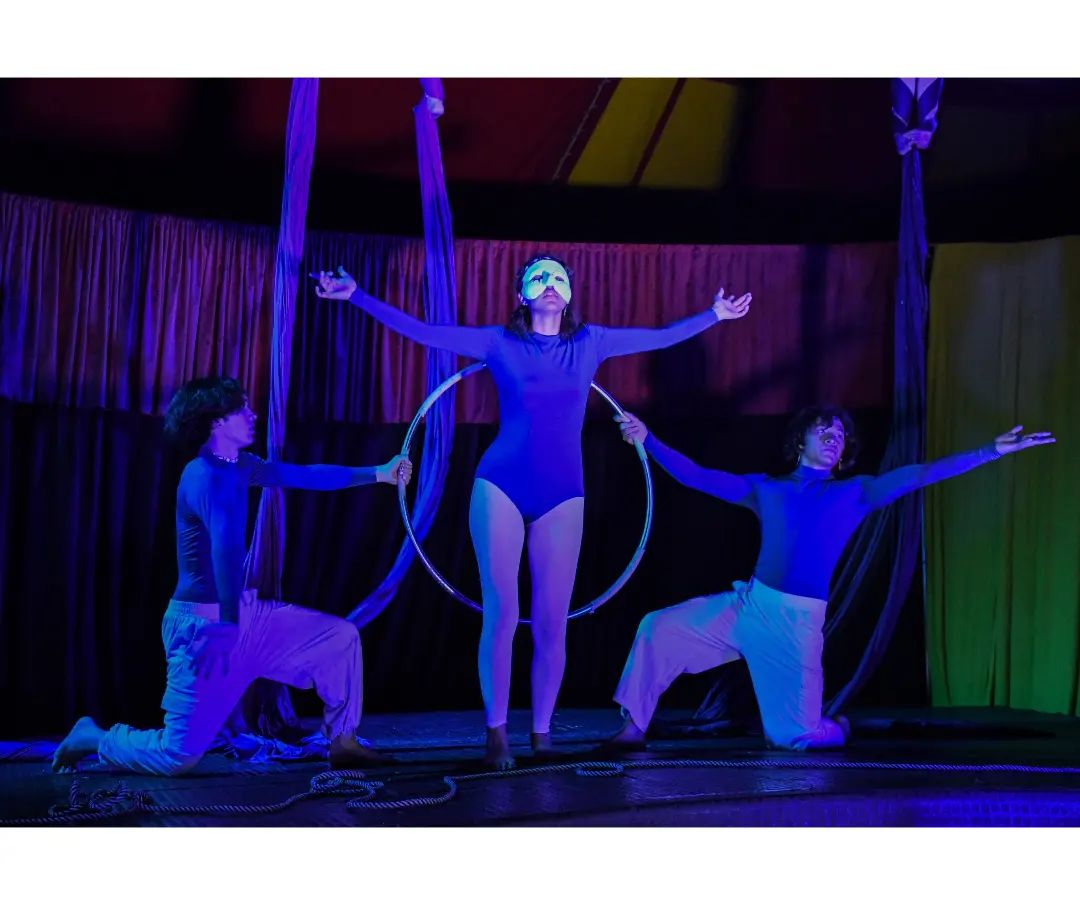 Colectivo 8003 en acción